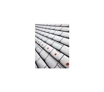 Grip-Rite 48 in. x 250 ft. (1000 sq. ft.) Synthetic Roofing Underlayment